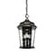 Euri Lighting Bronze LED Hanging Lantern with Flickering Flame, Dual Modes, Water Glass, Wall Switch EHL-130W-MD - alternate 1